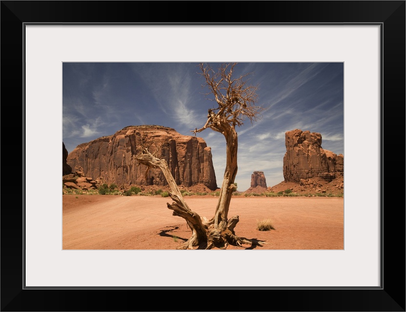 A blasted tree in the North Window of Monument Valley.