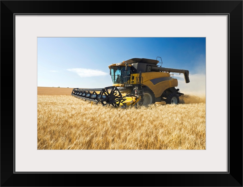 A Combine Harvests Durum Wheat Near Ponteix, Saskatchewan, Canada