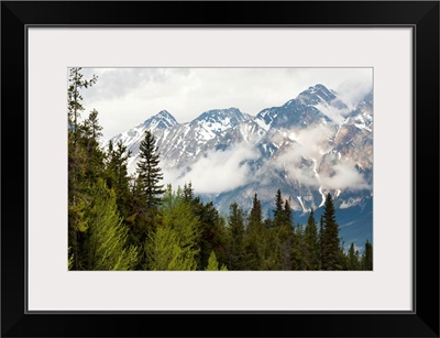 A Forest And The Rocky Mountains; Jasper, Alberta, Canada