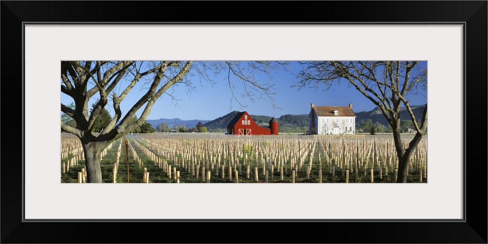 A new red barn and home stand