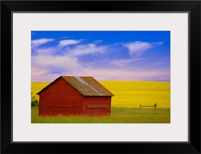 A Red Farm Building Against A Canola Field