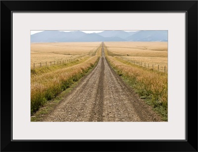 A road cuts through a prairie in the Crazy Mountains; Montana, United States of America