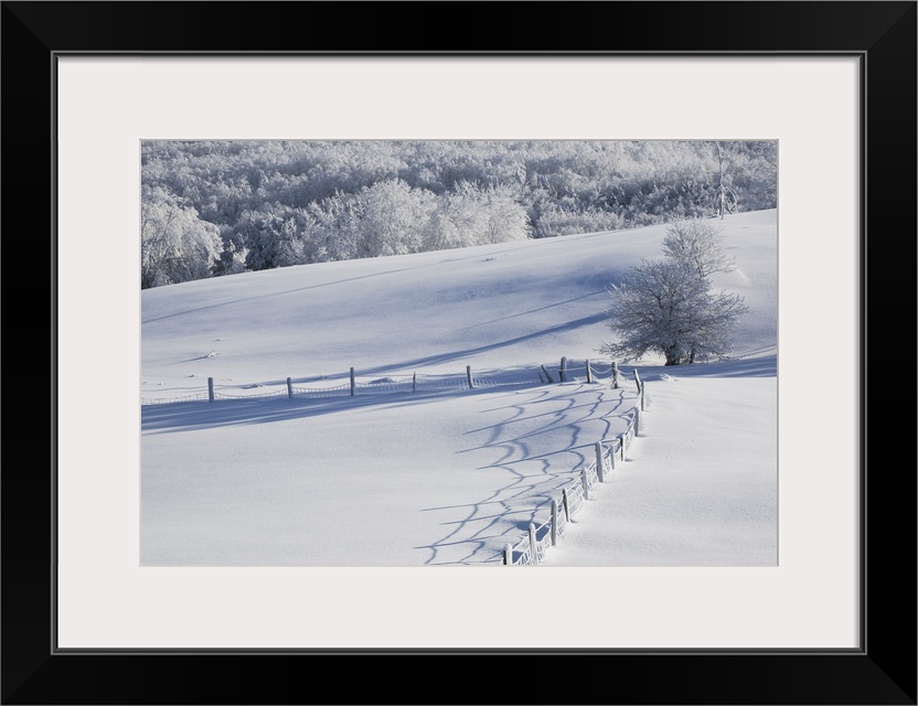 A Snowy Field