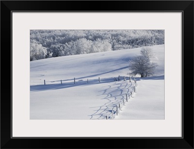 A Snowy Field