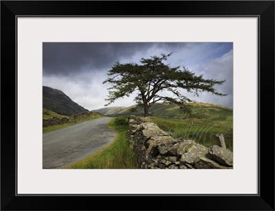 A Stone Fence Running Along A Road; Lake District, Cumbria, England