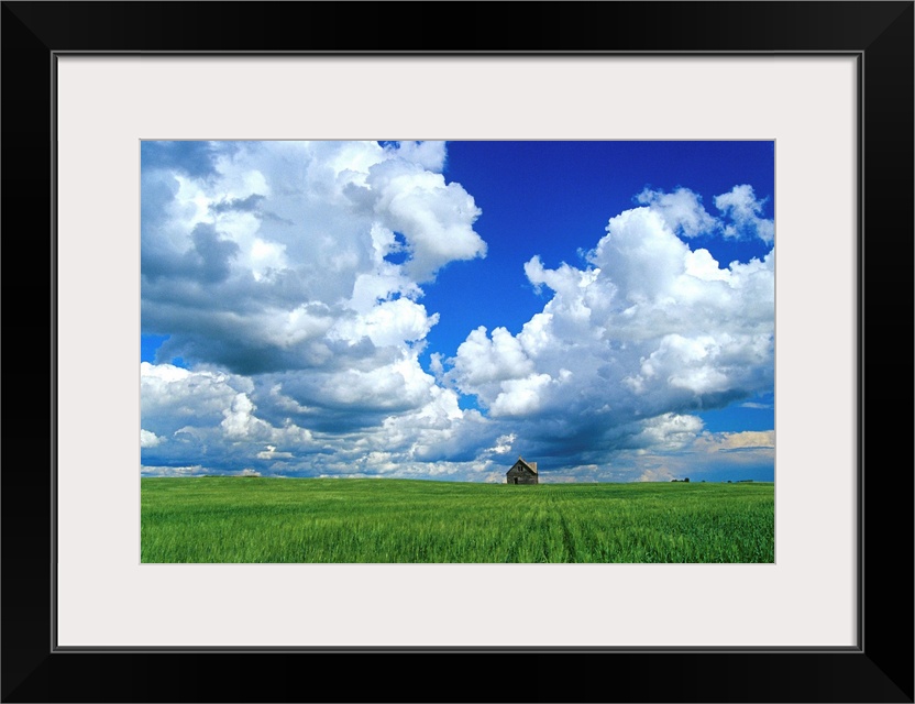 Abandoned Farm In Wheat Field, Saskatchewan, Canada