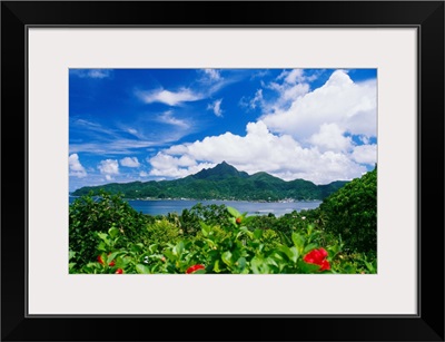 American Samoa, Pago Pago Harbor, Greenery And Flowers, Clouds I