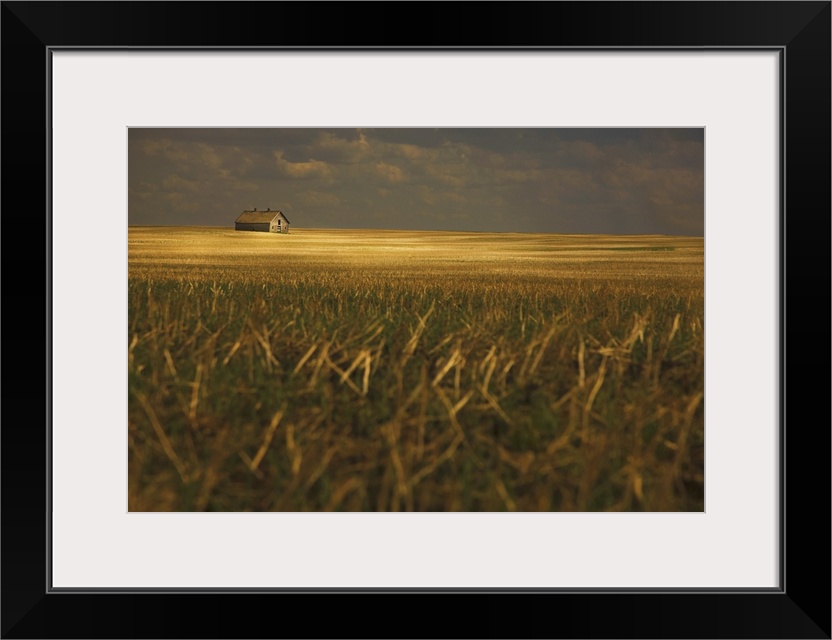 An Old Barn In A Field, Tofield, Alberta, Canada