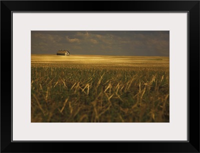 An Old Barn In A Field, Tofield, Alberta, Canada