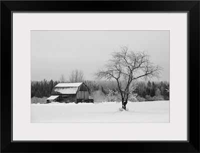 Barn With Tree In Winter, Thunder Bay, Ontario, Canada