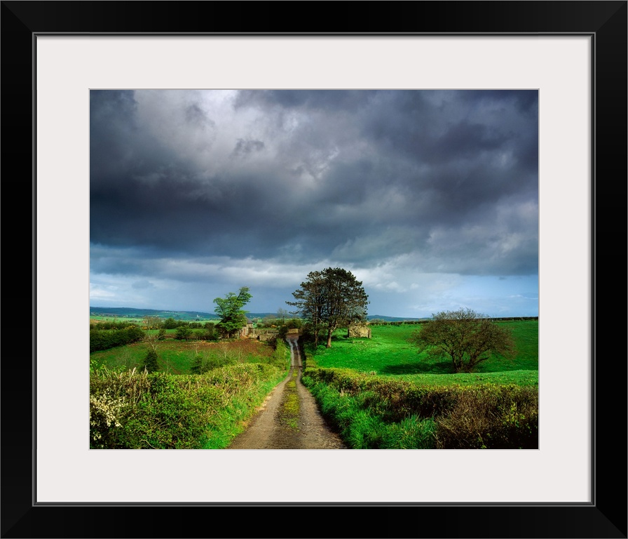 Co Armagh, Northern Ireland, Small Farm Near Whitecross.