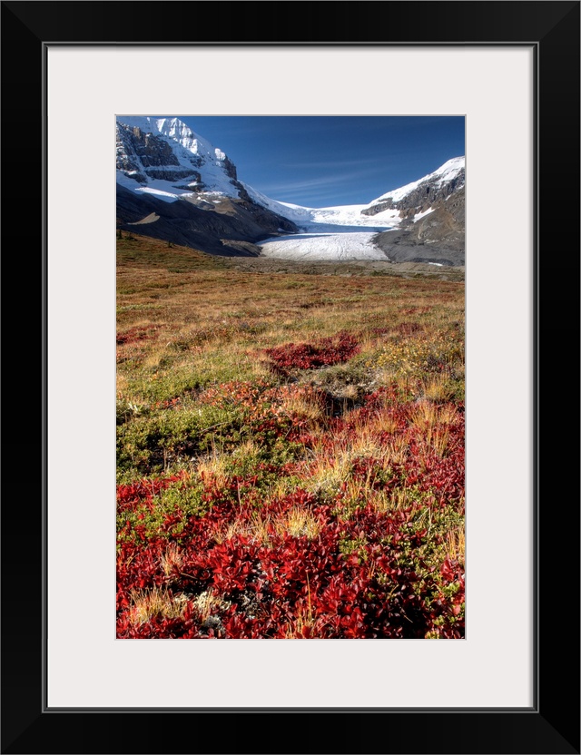 Columbia Icefield, Jasper National Park, Alberta, Canada