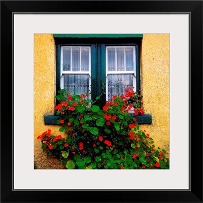 Cottage Window, County Antrim, Ireland