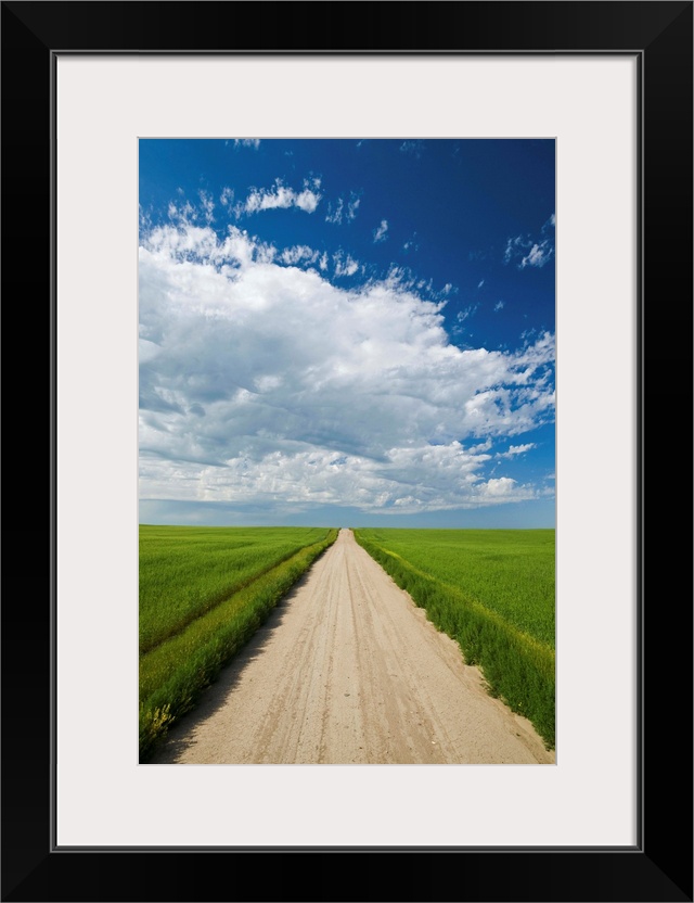 Country Road Through Grain Fields, Ponteix, Saskatchewan, Canada