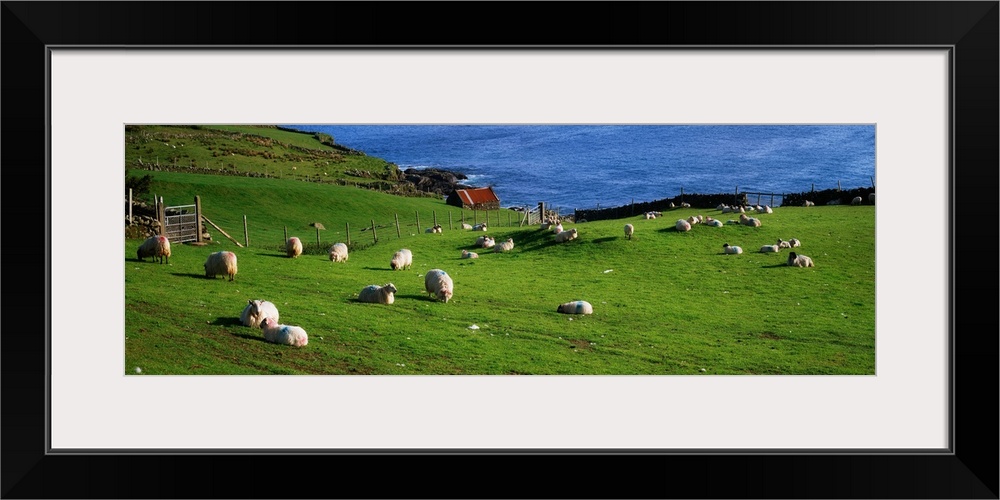 County Cork, Beara Peninsula