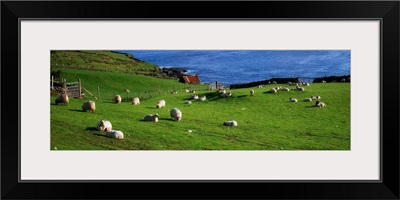 County Cork, Beara Peninsula