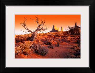 Dead Tree In Desert Monument Valley, United States Of America