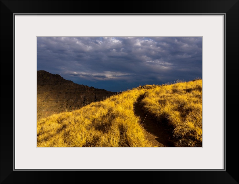 Evening sun highlights Kiger Gorge at Steens Mountain, Frenchglen, Oregon, United States of America.