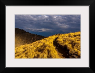 Evening sun highlights Kiger Gorge at Steens Mountain, Frenchglen, Oregon