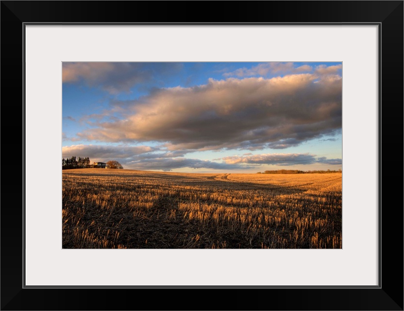 Farm And Stubble In Fall During Harvest, Near Edmonton, Alberta, Canada