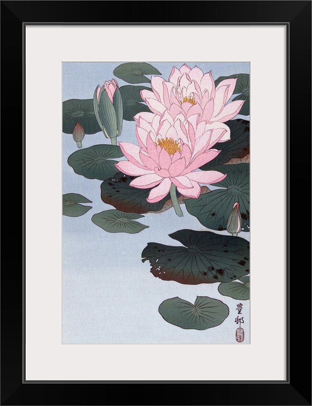 Flowering Water Lily. After a print by Japanese artist Ohara Koson, 1877 - 1945. He was born Ohara Matao, and signed his w...