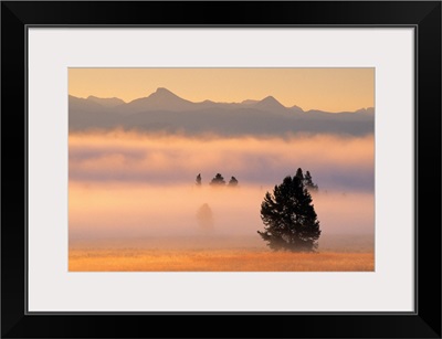 Fog At Sunrise, Pelican Valley, Yellowstone National Park, Wyoming