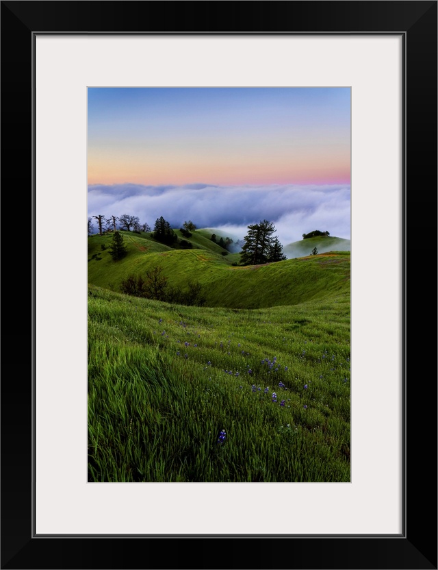 Fog banks rolling in off of the ocean with the sun setting below them, lush meadow on the rolling hills in the foreground,...