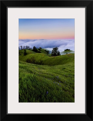 Fog Banks Rolling In Off Of The Ocean, Big Sur, California