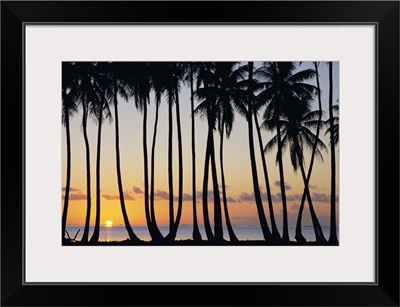 French Polynesia, Huahine, Tropical Sunset With Silhouetted Palm Trees