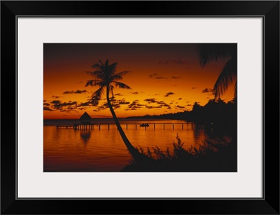 French Polynesia, Rangiroa, Bungalows At Sunset, Silhouetted Palm Tree