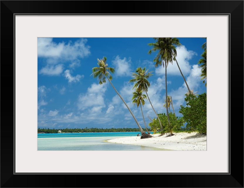 Tall palm trees sit on the edge of the beach and stretch out over shallow clear water.