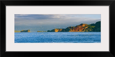 Gannets In Flight And Perce Rock From Barachois, Gaspesie, Quebec, Canada