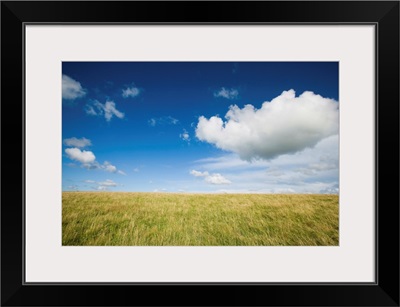 Grassy Field On Hill With Blue Skies And Clouds