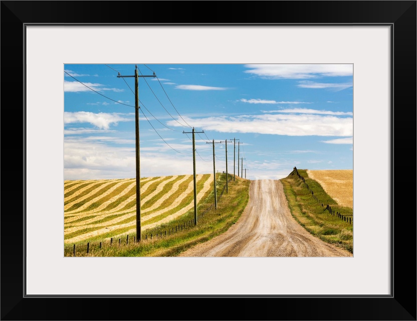 Gravel road climbing a hill with wooden electrical poles and a brown cut field on one side and a golden grain field on the...