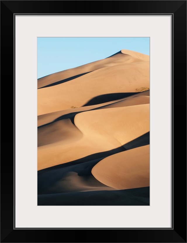 Sand dunes in morning light, Great Sand Dunes National Park. Colorado, United States of America.