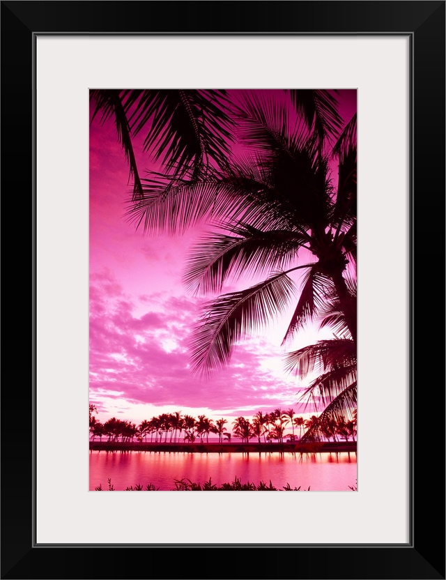 Hawaii, Big Island, Anaeho'omalu Bay, Sunset With Palm Trees