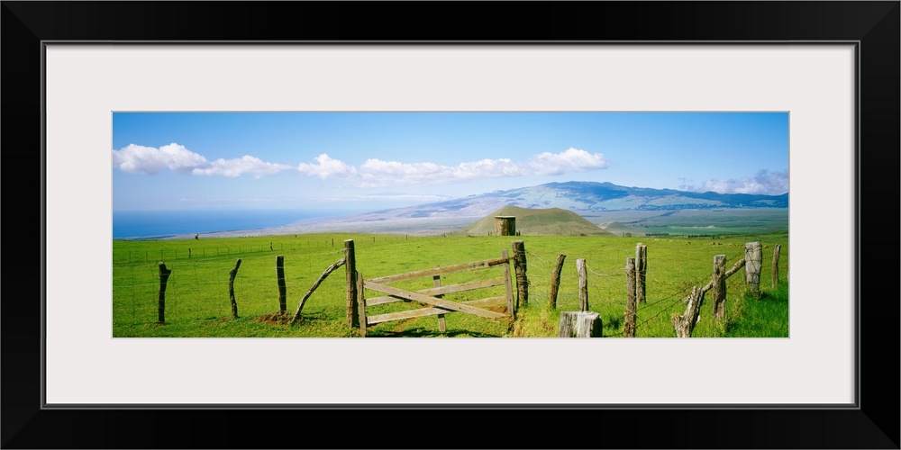 Hawaii, Big Island, Kamuela, Country Landscape, Mauna Kea In Background