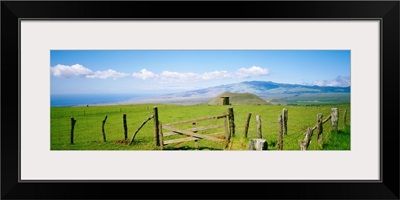 Hawaii, Big Island, Kamuela, Country Landscape, Mauna Kea In Background