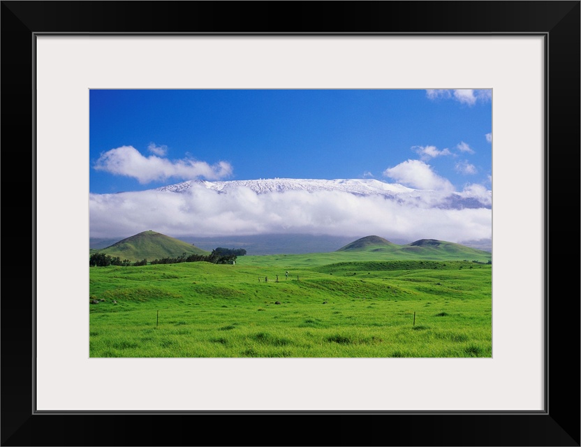 Hawaii, Big Island, Waimea, View Of Snowcapped Mauna Kea From Lush Rolling Hills Below