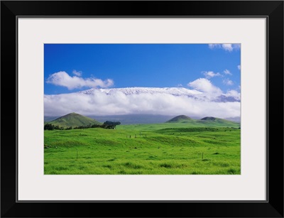 Hawaii, Big Island, Waimea, View Of Snowcapped Mauna Kea From Lush Rolling Hills Below