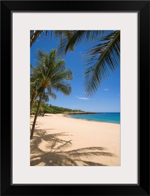 Hawaii, Lanai, Hulopoe Beach, Palm Trees And Shadows Along Sandy Beach