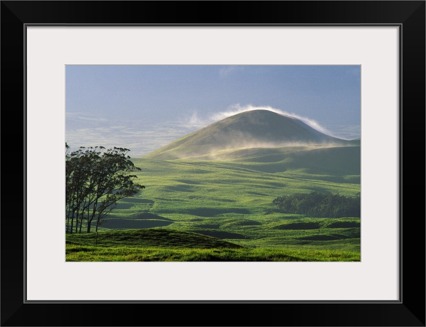 Hawaii, Lush Green Meadows Of Parker Ranch