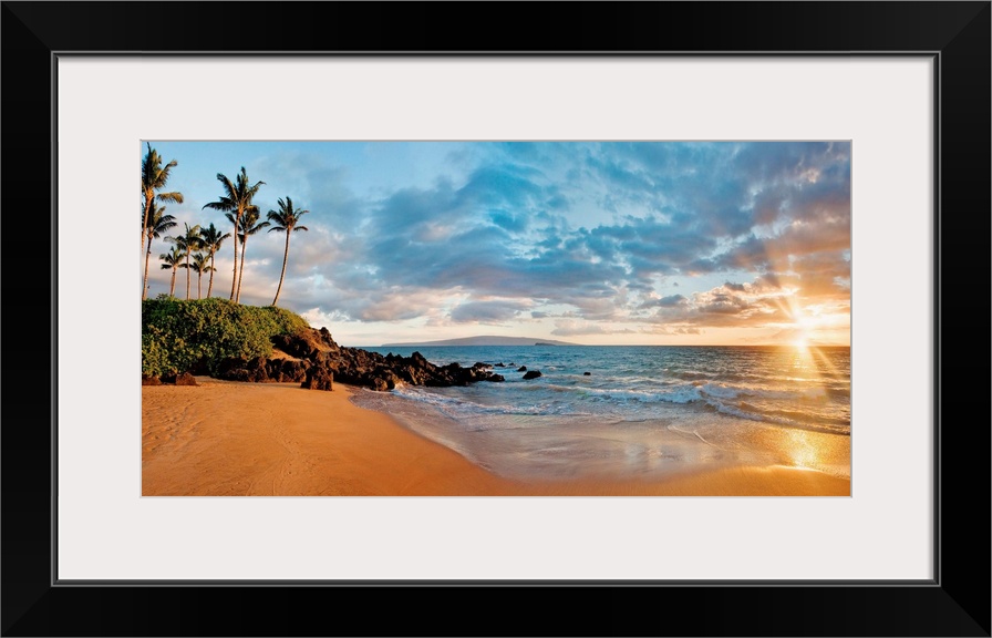 This panoramic landscape shows a small sandy beach lined with palm trees, an ocean with choppy waves, and a cloudy sky.