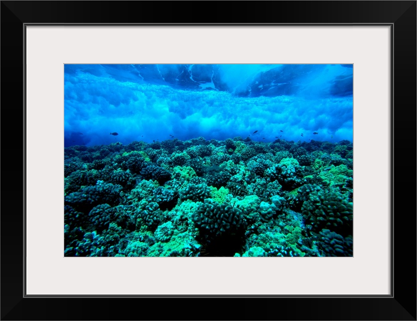 Hawaii, Maui, Molokini Island, Underwater View Of Wave Breaking Over Shallow Reef