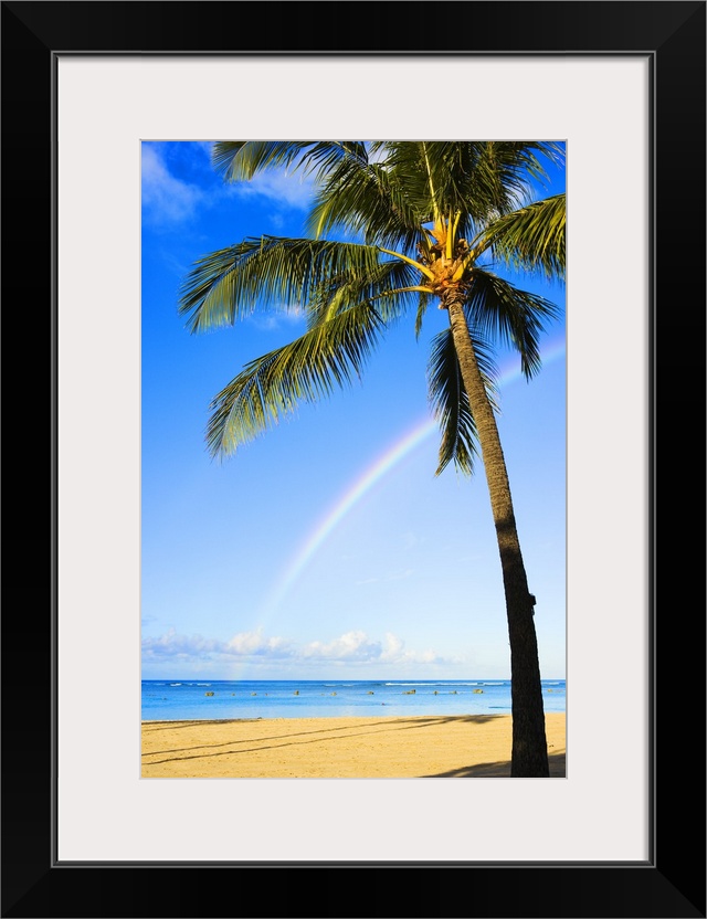 Hawaii, Oahu, Honolulu, Ala Moana Beach Park, Palm Tree And Rainbow