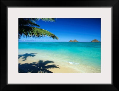 Hawaii, Oahu, Lanikai Beach With Calm Turquoise Water