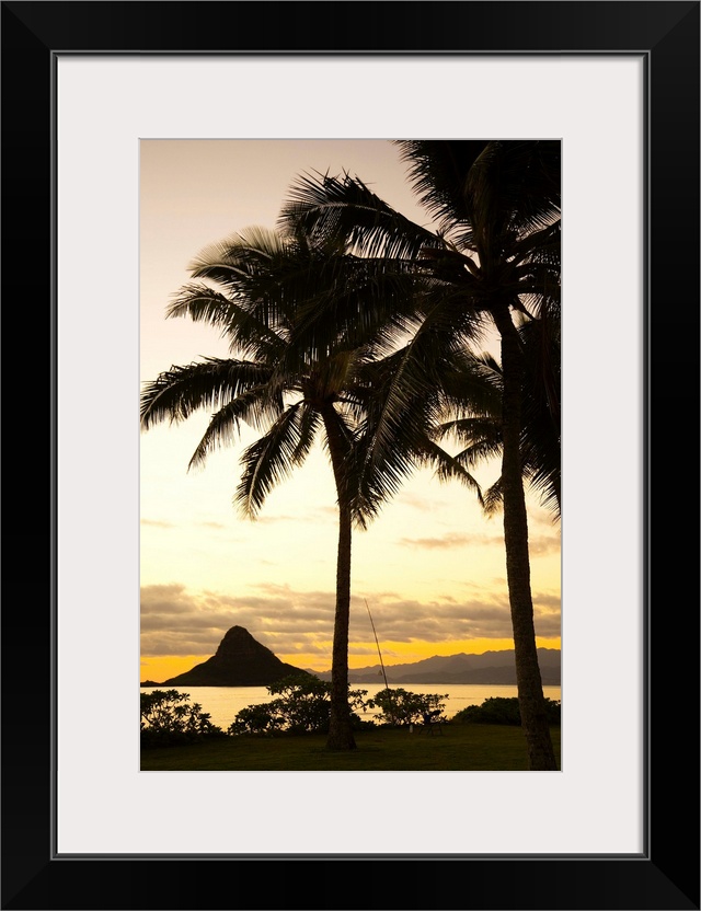 Hawaii, Oahu, Silhouette Of Palm Tree And Chinaman's Hat