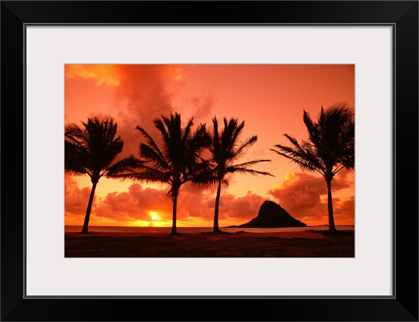 Hawaii, Oahu, Sunrise At Chinaman's Hat, Palms Silhouetted