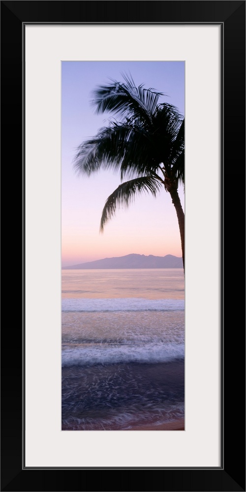 Hawaii, West Maui Beach At Twilight, Palm Tree Along Shoreline