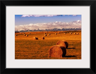 Hay Bales